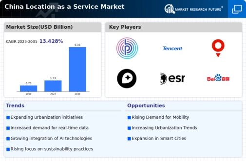 China Location As A Service Market Infographic