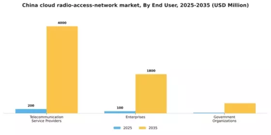 China Cloud Radio Access Network Market Segment Image 2