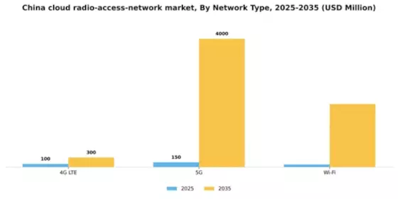 China Cloud Radio Access Network Market Segment Image 3