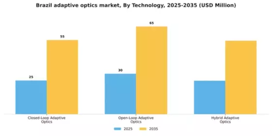Brazil Adaptive Optics Market Segment Image 3