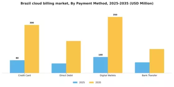 Brazil Cloud Billing Market Segment Image 3