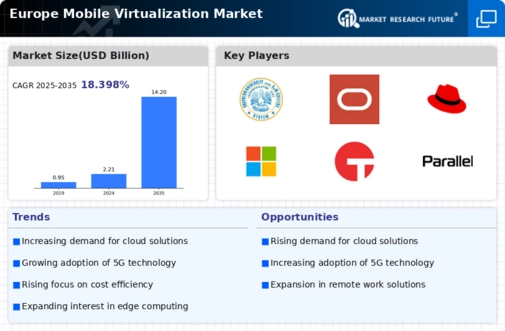 Europe Mobile Virtualization Market Infographic