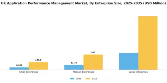UK Application Performance Management Market Segment Image 2