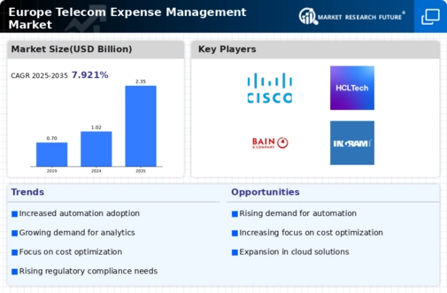 Europe Telecom Expense Management Market Infographic