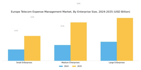 Europe Telecom Expense Management Market Segment Image 2