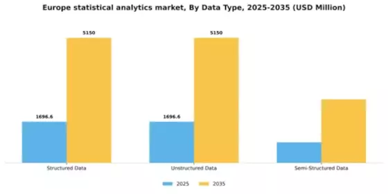Europe Statistical Analytics Market Segment Image 1