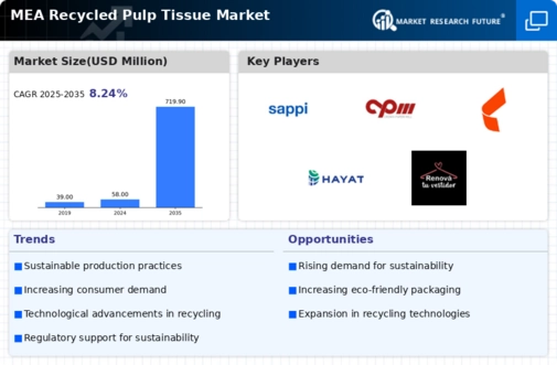 MENA Recycled Paper Pulp Tissue Market Infographic
