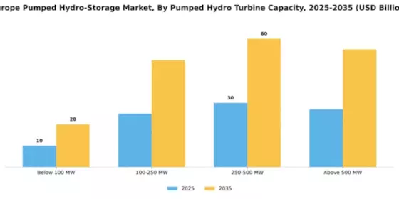 Europe Pumped Hydro Storage Market  Segment Image 2