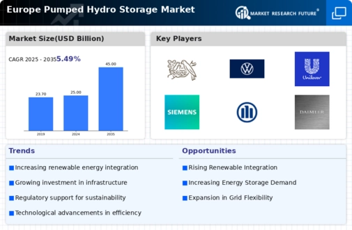 Europe Pumped Hydro Storage Market  Infographic