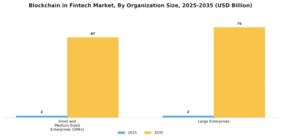 Blockchain Fintech Market Segment Image 2