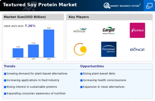 Textured Soy Protein Market Infographic