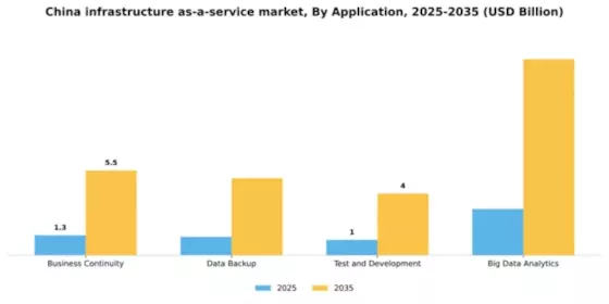 China Infrastructure as a Service Market Segment Image 0