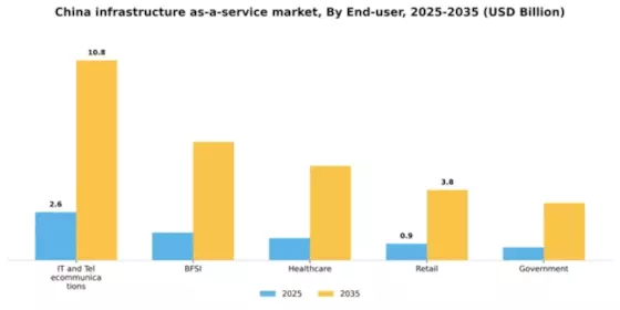 China Infrastructure as a Service Market Segment Image 2