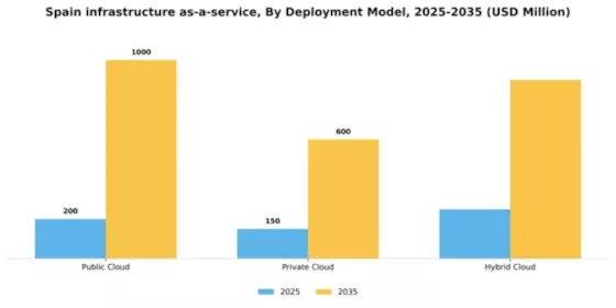 Spain Infrastructure as a Service Market Segment Image 1