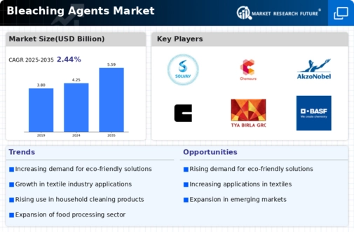 Bleaching Agents Market Infographic