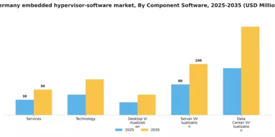 Germany Embedded Hypervisor Software Market Segment Image 1