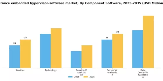 France Embedded Hypervisor Software Market Segment Image 1