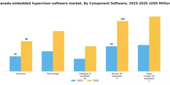 Canada Embedded Hypervisor Software Market Segment Image 1