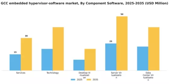GCC Embedded Hypervisor Software Market Segment Image 1