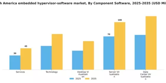 South America Embedded Hypervisor Software Market Segment Image 1