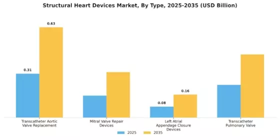 Structural Heart Devices Market Segment Image 0
