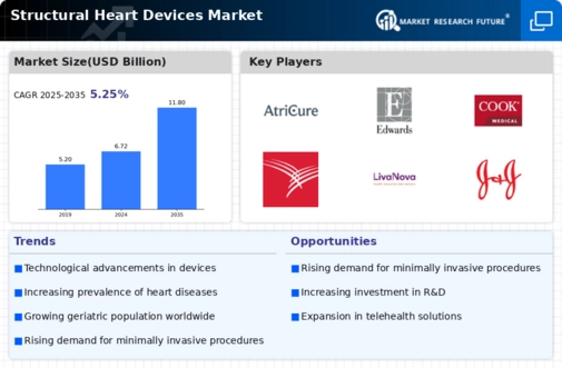 Structural Heart Devices Market Infographic
