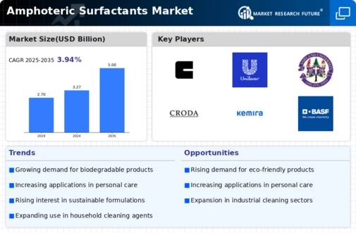 Amphoteric Surfactants Market Infographic