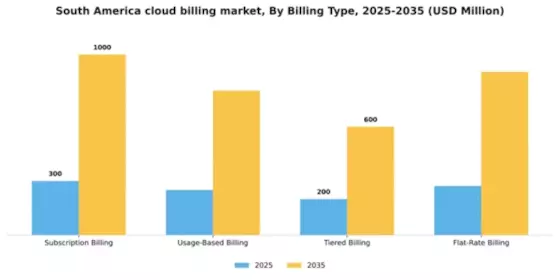 South America Cloud Billing Market Segment Image 0