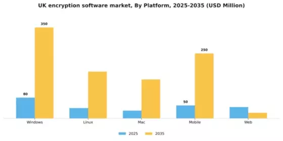 UK Encryption Software Market Segment Image 3