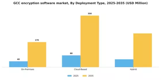 GCC Encryption Software Market Segment Image 1