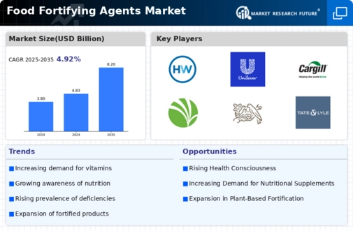 Food fortifying agents Market Infographic