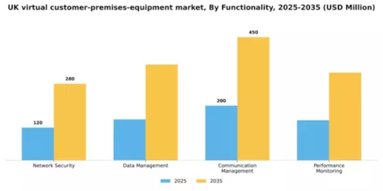 UK Virtual Customer Premises Equipment Market Segment Image 2