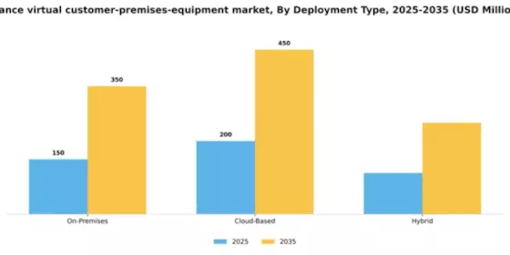 France Virtual Customer Premises Equipment Market Segment Image 0