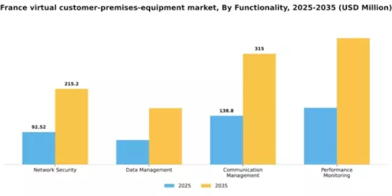 France Virtual Customer Premises Equipment Market Segment Image 2