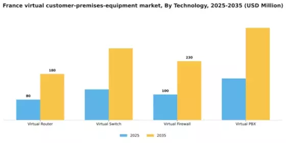 France Virtual Customer Premises Equipment Market Segment Image 3