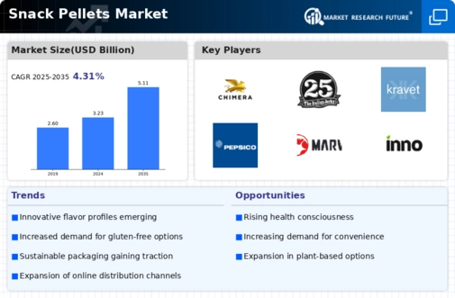 Snack Pellets Market Infographic