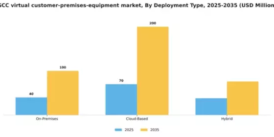 GCC Virtual Customer Premises Equipment Market Segment Image 0