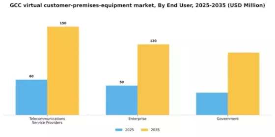 GCC Virtual Customer Premises Equipment Market Segment Image 1