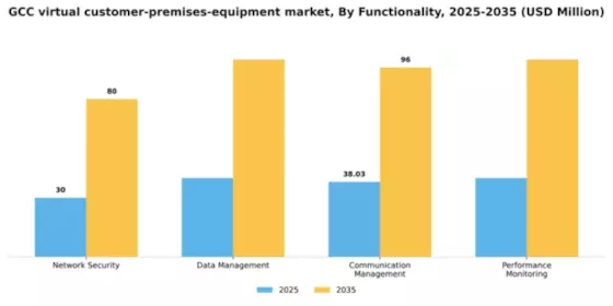 GCC Virtual Customer Premises Equipment Market Segment Image 2