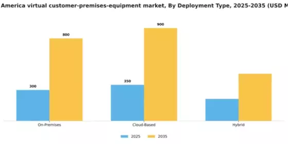 South America Virtual Customer Premises Equipment Market Segment Image 0