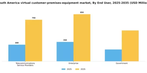 South America Virtual Customer Premises Equipment Market Segment Image 1