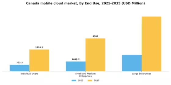Canada Mobile Cloud Market Segment Image 2