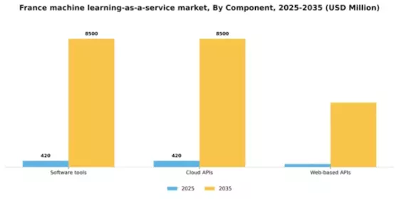 France Machine Learning As A Service Market Segment Image 1
