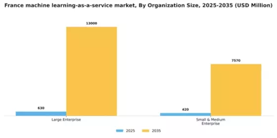 France Machine Learning As A Service Market Segment Image 3