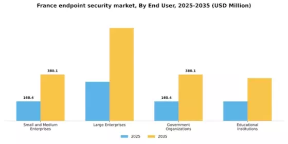 France Endpoint Security Market Segment Image 1