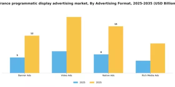 France Programmatic Display Advertising Market Segment Image 0