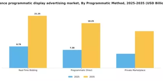 France Programmatic Display Advertising Market Segment Image 3