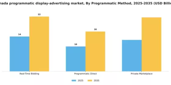 Canada Programmatic Display Advertising Market Segment Image 3