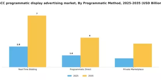 GCC Programmatic Display Advertising Market Segment Image 3