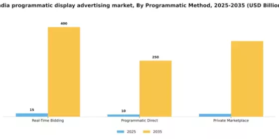 India Programmatic Display Advertising Market Segment Image 3